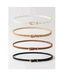 Correas 4 unidades 57655